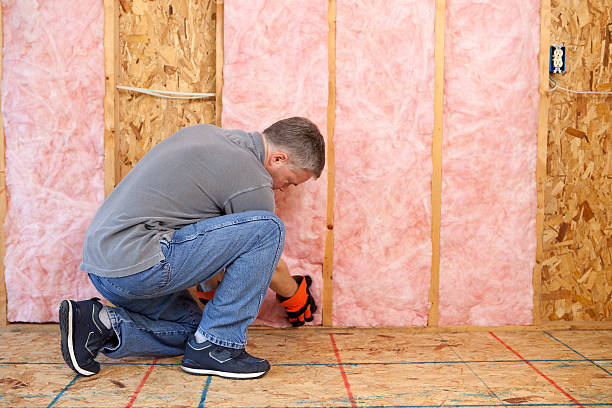 Best Fiberglass Insulation in Steamboat Springs, CO