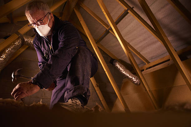 Best Geographic-Specific Insulation Services in Steamboat Springs, CO